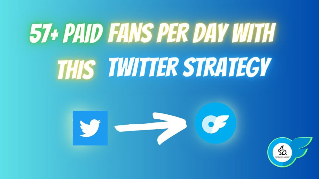 57+ paid Fans from Twitter every single Day | Our OnlyFans Twitter Marketing Strategy