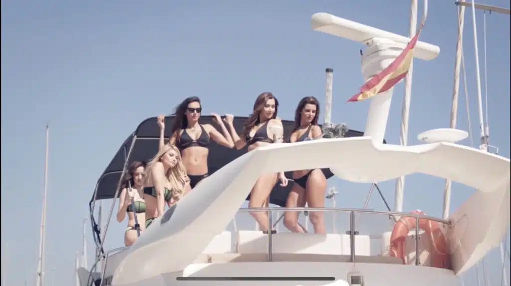 2019 the bunny start